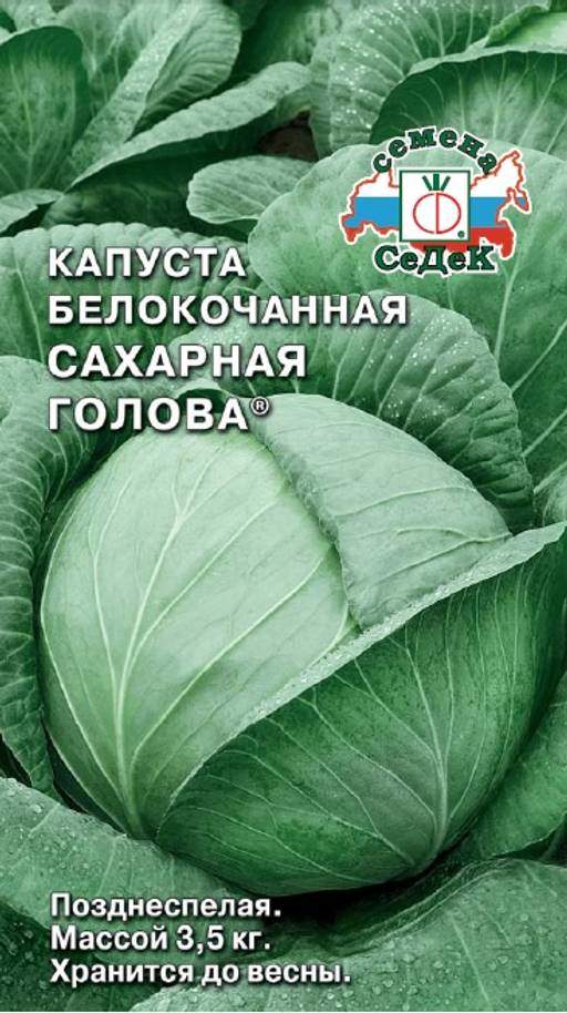 Капуста бк Сахарная Голова (СеДек) Капуста бк Сахарная Голова (СеДек)