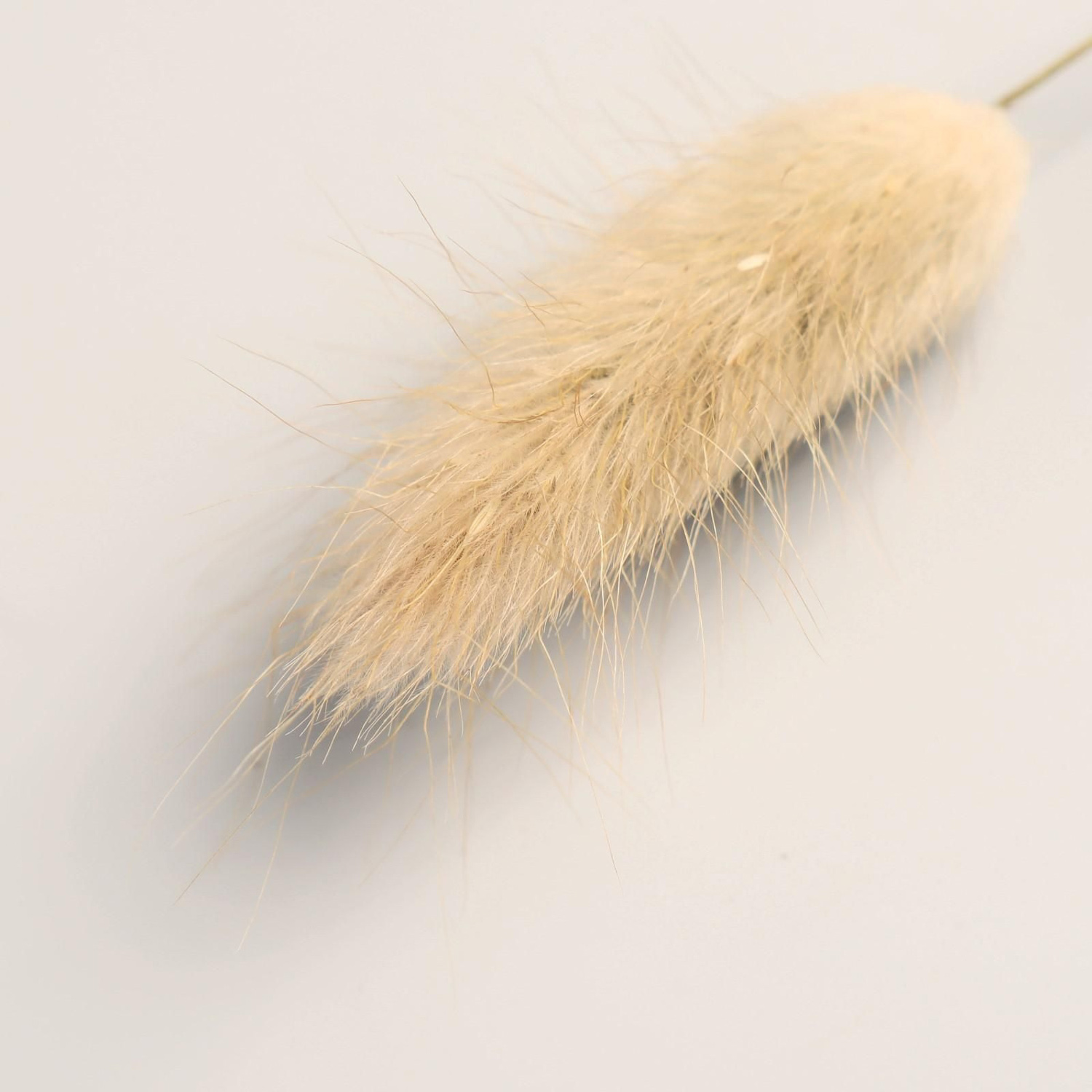 Декор сухоцвет "Лагурус" 65 см, бежевый  7081265