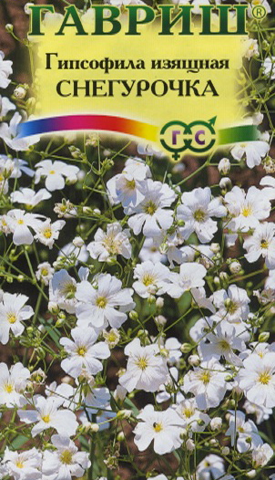 Семена Гипсофила изящная Снегурочка  0,1гр Гавриш *10/200 Семена Гипсофила изящная Снегурочка  0,1гр Гавриш *10/200