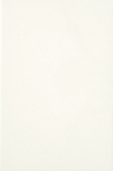 Плитка 50х25 см настенная 1.25 м² Axima, белый, глянцевый