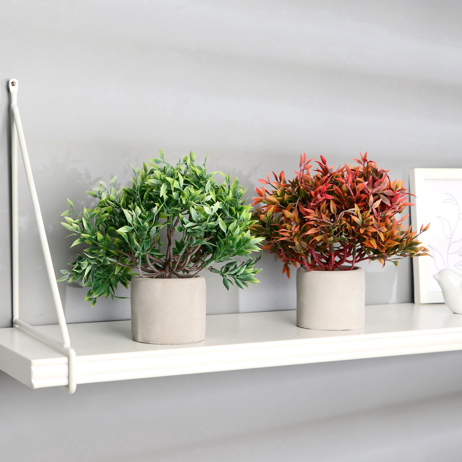 Бонсай в горшке "Фрутикоса пышная" 14х20 см, микс   9222724