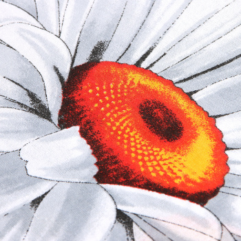 Постельное белье евро бязь Василиса 3753/1 Божья коровка нав70*70,пр200*220 *1/5