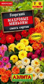 Семена Георгина Махровые миньоны смесь сортов 7 шт Аэлита цв *10/200