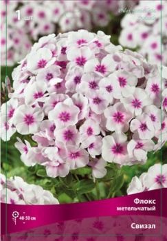Флокс метельчатый Свиззл/К