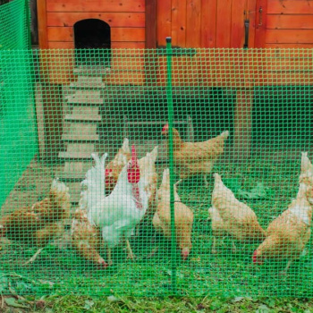 Сетка Садовая для птичников пласт. выс.1м рулон дл.10м яч.17х17мм Зеленая Ф-17/1/10 (Протэкт)  *1/10