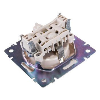 Механизм розетки "Valena" 1-м.  с з/к., сл.кость Leg SchE 774320  *1/10