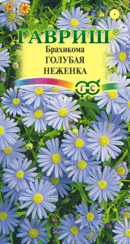Семена Брахикома Голубая неженка  0,05гр Гавриш *10/200 Семена Брахикома Голубая неженка  0,05гр Гавриш *10/200