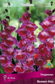 Гладиолус Велвет Айз 10-12К 10шт